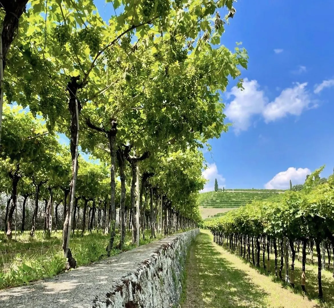 Valpolicella Lodge Parking Gratuito Fino A 4 Pax Sant'Ambrogio di Valpolicella
